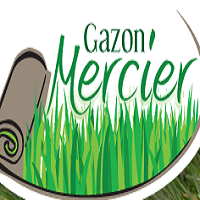 Gazon Mercier - Promotions & Rabais à Saint-Joseph-De-Beauce