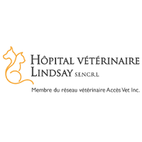 Hôpital Vétérinaire De Lindsay - Promotions & Rabais à Parisville