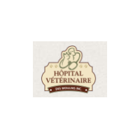 Hôpital Vétérinaire Des Moulins - Promotions & Rabais à Saint-Damien
