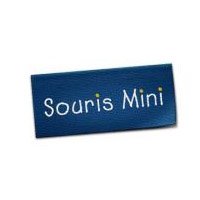 Souris Mini - Promotions & Rabais à Lac-À-La-Tortue